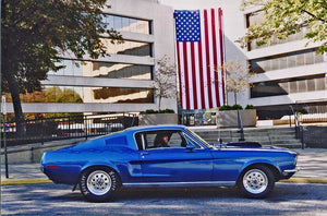 SHARKHIDE Metal & Aluminum Protectant